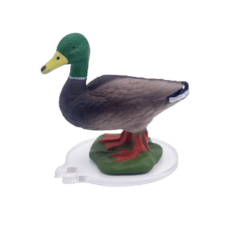 Mallard Duck Store